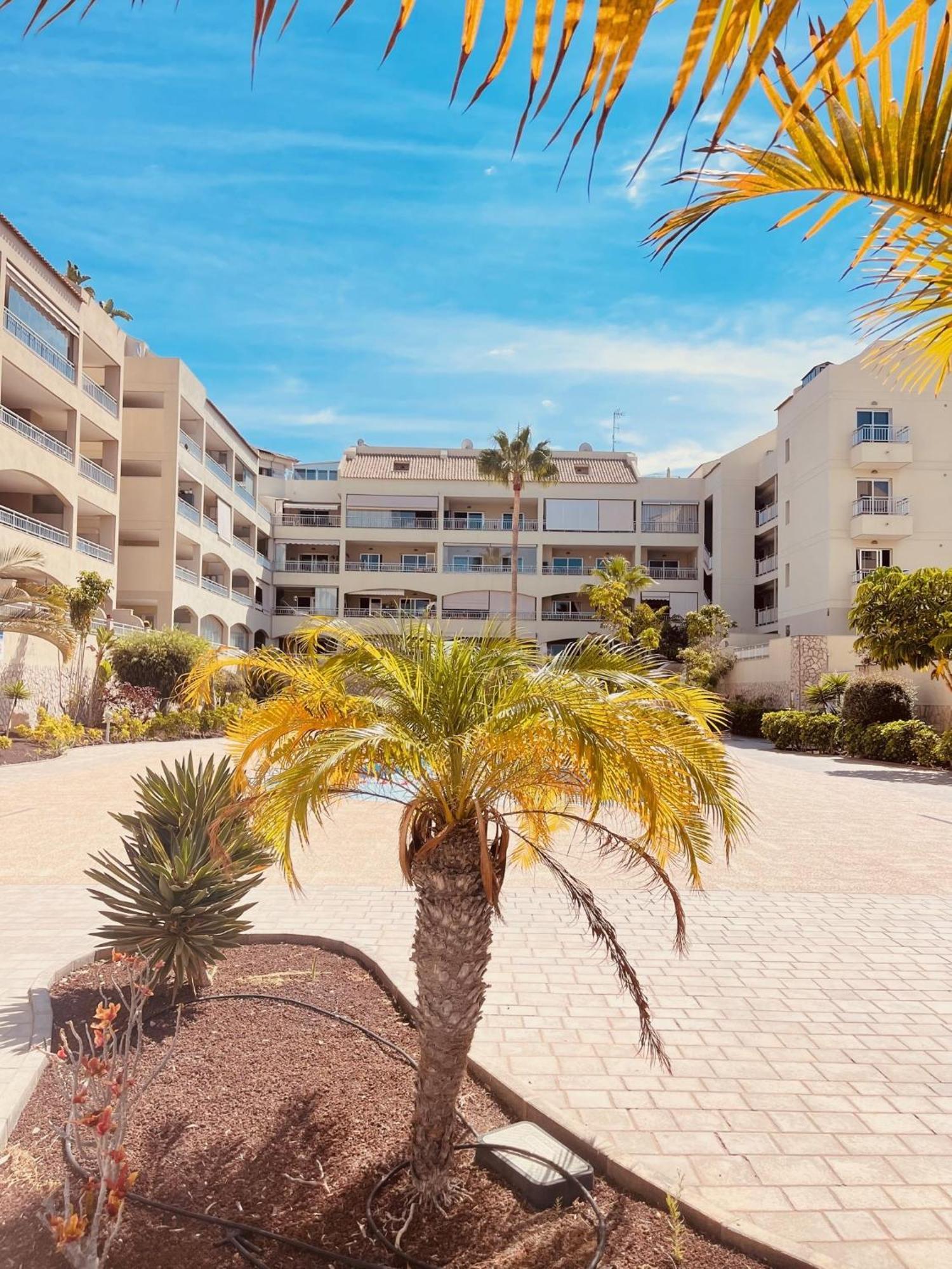 Palm Mar Penthouse Duplex公寓 外观 照片